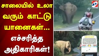 சாலையில் உலா வரும் காட்டு யானைகள்... எச்சரித்த அதிகாரிகள்! | elephant | srilanka | Sathiyamtv