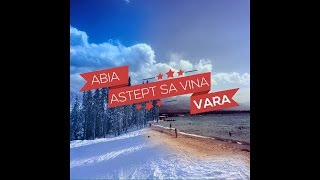 Boier Bibescu feat. Jayoh - Abia astept sa vina VARA (Radio Edit)