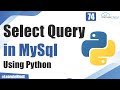 What is Select Query in MySql Using Python | Python Tutorial