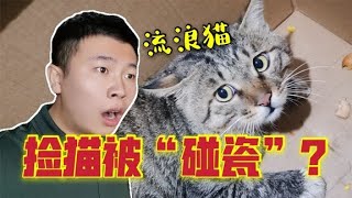 路边捡了一只流浪猫回家后被碰瓷了8000块！到底发生了什么？