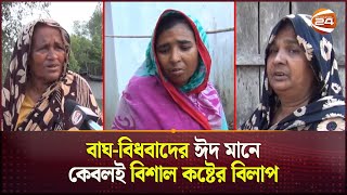 জীবিত থেকেও মৃতের মতো দিন কাটছে বাঘ-বিধবাদের | Bagh Bidhoba | Satkkhira | Channel 24