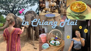 I became friends with elephants in Chiang Mai!🐘💚| MY FAV KHAO SOI 🤤