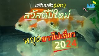 ปี7 EP.196 วิธีดูแลปลาก่อนไปเที่ยวช่วงวันหยุดยาว/ How to take care fish going on a long holiday