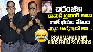 Brahmanandam Superb Words About Chiranjeevi Comedy Timing | Vennel Kishore | NSE