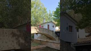 🇬🇧 Nature fills our hearts 🇪🇸 La naturaleza nos llena el corazón 🇵🇹 A Natureza enche-nos os corações