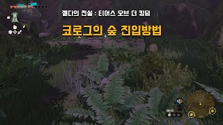 [젤다왕눈] 코로그의 숲 진입방법