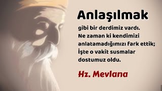 SİZİN ALININIZ AL İNANDIM, SİZİN MORUNUZ MOR İNANDIM. AMA BENİM DENGEMİ BOZMAYINIZ