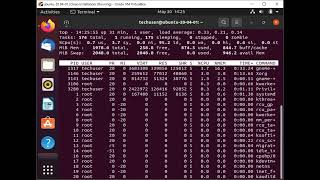 Top and Kill Commands: Linux Answer to Windows Task Manager