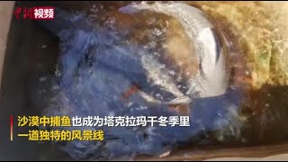 新疆罗布湖沙漠捕鱼成独特风景线