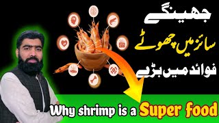 jhinga khane ke fayde 🦐 | benefits of eating sea food/shrimp by farooqi Dawakhana