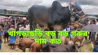 বড় বড় গরুর বাজার খাগড়াছড়ি।#video #share #viral #bangladesh #khagrachhari #subscribe #fb