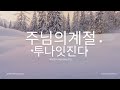 12월 24일 화요일 메리크리스마스 729회 투나잇 진디