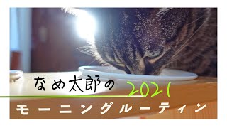 【モーニングルーティン】朝6：30起きの飼い猫が1日を穏やかに過ごす為の朝の習慣【早上六点半起床的家猫为了静地度過一天早上的习惯】