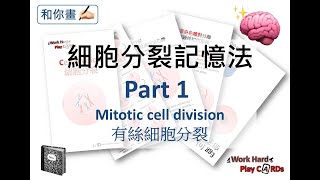 [和你畫] DSE Bio 細胞分裂記憶法 Part 1 Mitotic cell division 有絲細胞分裂