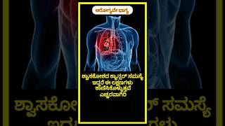 ಶ್ವಾಸಕೋಶದ ಕ್ಯಾನ್ಸರ್ ಸಮಸ್ಯೆ ಇದ್ದರೆ ಈ ಲಕ್ಷಣಗಳು ಕಾಣಿಸಿಕೊಳ್ಳುತ್ತವೆ #healthtips #shorts #youtubeshorts