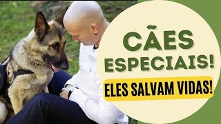 CÃES DE APOIO EMOCIONAL, TERAPIA E SERVIÇO - Explicados!