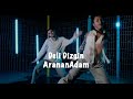 arananadam deli dizgin official music video lyric video