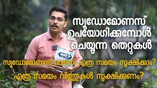 സ്യൂഡോമോണസ് ഉപയോഗിക്കുമ്പോൾ ചെയ്യുന്ന തെറ്റുകൾ | Pseudomonas Agriculture #KitchenMystery #DheKrishi