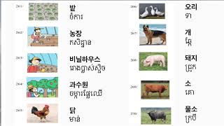 រៀនពាក្យភាសាកូរ៉េមេរៀនទី19ពាក្យវាក្យស័ព្ទ,ពាក្យ;នាម