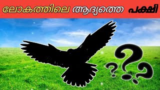 ലോകത്തിലെ ആദ്യത്തെ പക്ഷി 🤔 😱| first bird in the world | F for Facts | #shorts