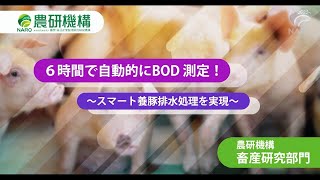 養豚場の排水処理を省エネにするBOD監視システム