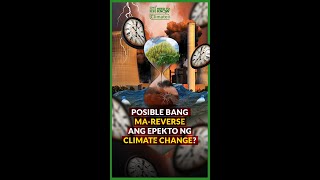 Ano ang mga epekto ng global warming? | Need to Know