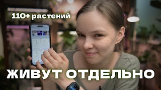 Автоматизация ухода за растениями | свет, влажность, температура и нюансы