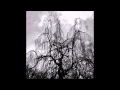 Colin Stetson and Sarah Neufeld - Never Were the Way She Was