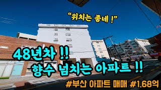 [부산 주택 매매] 입지 좋은 1억대 아파트, 세월은 흘러도 자리는 영원합니다. #부부따 #국민아파트