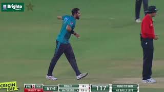 Pakistan vs World XI 3rd T20 - Complete Wickets Package