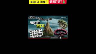 Biggest snake of history found in India?😱😱 #trendingshorts 🔥🔥