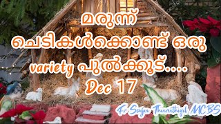 മരുന്ന് ചെടികൾക്കൊണ്ട് ഒരു variety പുൽക്കൂട്.... | Dec 17