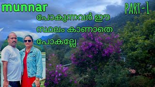 മൂന്നാറിലെ തേയില തോട്ടത്തിന് നടുവിലൂടെ കൊടുംതണുപ്പിന്റെ പറുദീസയിലേക്ക് #മൂന്നാർ #vattavada #tourism