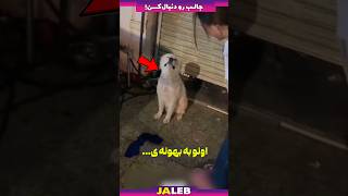 کاری که این مرد با این سگ کرده اشکاتو درمیاره !!!