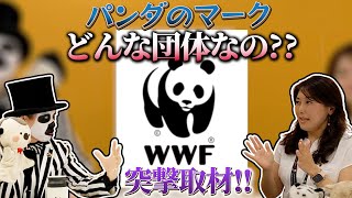 【取材】YouTubeの収益の一部をWWFで寄付してきた【WoWキツネザルのヒーローになれる雑学】