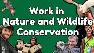 How to get a job in Wildlife \u0026 Nature Conservation - Volunteering, Tips, Advice, Q\u0026A