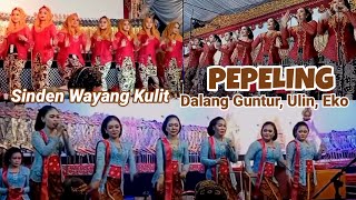 Gendhing Pepe'ling #singer Dalang Guntur, Ulin, Eko #javaneseculture #wayangkulit