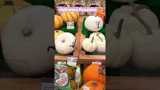 萬聖節都過那麼久了，才想到要 po 這支影片🤣 🎃 #shorts