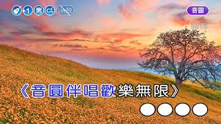 太陽一樣~劉文正~男Cm調~伴奏~導唱~速度+15甲