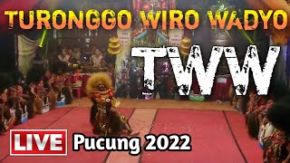 TWW Turonggo Wiro Wadyo LIVE Pucung, Pringsurat 25 Feb 2022