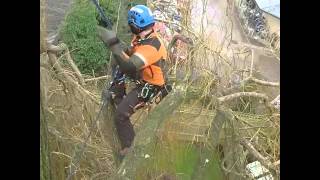 Huge Spiderjack Swing! - Heritage Tree Care Ltd.