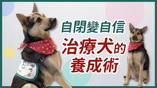 從自閉到自信 流浪狗變治療犬的養成術 ｜熊爸估狗