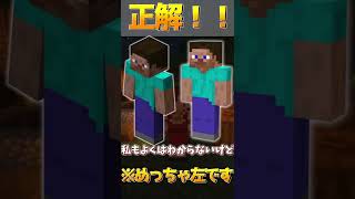 【Minecraft】スティーブの偽物…『ArypibaX』を知っていますか？【ゆっくり解説】#shorts