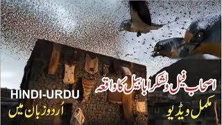 Ababeel Bird Story in Urdu | Hindi | Abraha aur Hathi ka Qissa