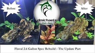 Fluval 2.6 Gallon Spec Tank Rebuild - The Part Where I Update You