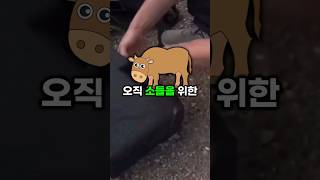 용트림으로 콘서트 하는 남자...ㅋㅋㅋㅋ