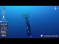 aida depth world championship roatan 2017 alenka artnik 100m cwt gold