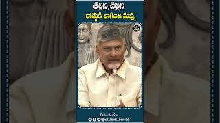 CM Chandrababu Comments On Jagan | Sharmila | Vijayamma | State Headlines |