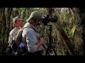 how to photograph birds in the florida everglades part 1