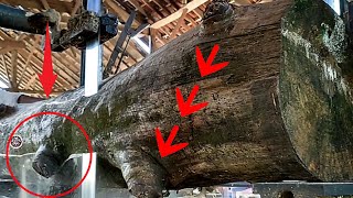 Antidote to Evil Spirits || Not All Wood Has Specialties Like This || sawmill